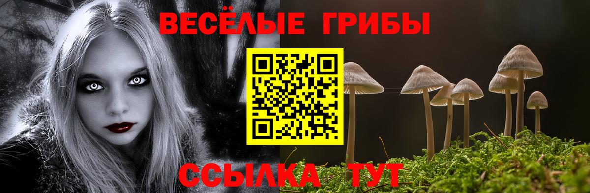Галлюциногенные грибы ЛСД  Вход с VPN  Удомля 